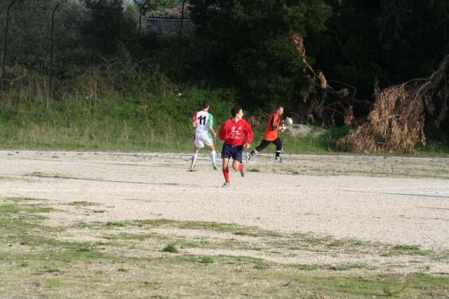 CARONIA - PARNASSIUS (178).jpg