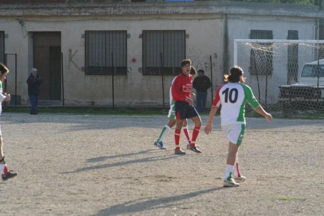 CARONIA - PARNASSIUS (179).jpg