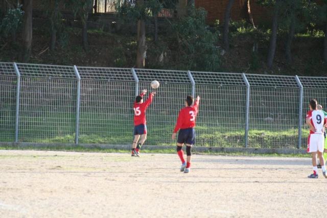 CARONIA - PARNASSIUS (181).jpg