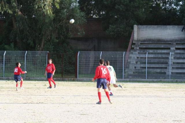 CARONIA - PARNASSIUS (182).jpg