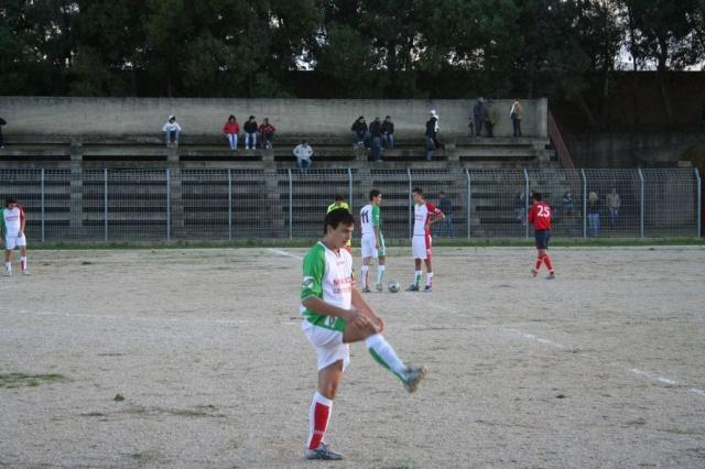 CARONIA - PARNASSIUS (189).jpg