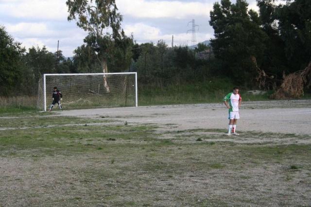 CARONIA - PARNASSIUS (192).jpg