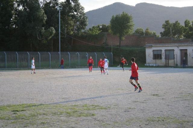 CARONIA - PARNASSIUS (196).jpg