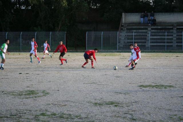 CARONIA - PARNASSIUS (198).jpg