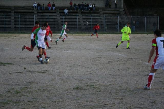 CARONIA - PARNASSIUS (200).jpg