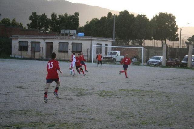 CARONIA - PARNASSIUS (201).jpg