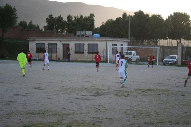 CARONIA - PARNASSIUS (202).jpg