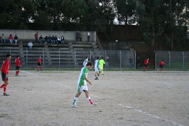 CARONIA - PARNASSIUS (203).jpg