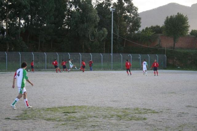 CARONIA - PARNASSIUS (204).jpg