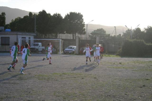 CARONIA - PARNASSIUS (205).jpg