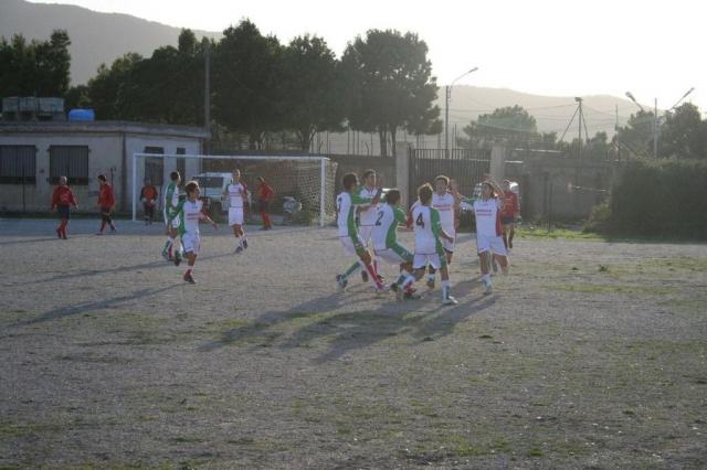 CARONIA - PARNASSIUS (206).jpg