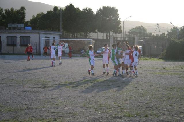 CARONIA - PARNASSIUS (207).jpg