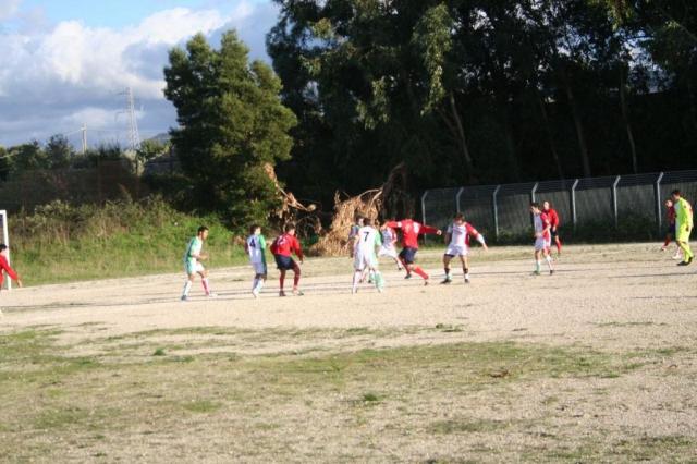 CARONIA - PARNASSIUS (216).jpg