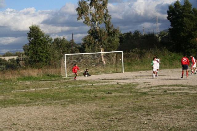 CARONIA - PARNASSIUS (217).jpg