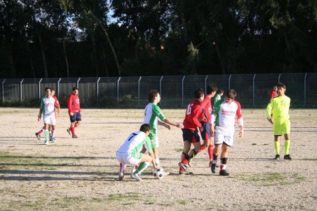 CARONIA - PARNASSIUS (219).jpg