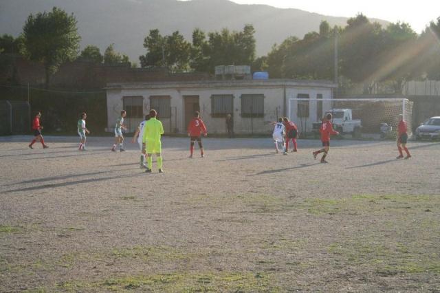 CARONIA - PARNASSIUS (222).jpg