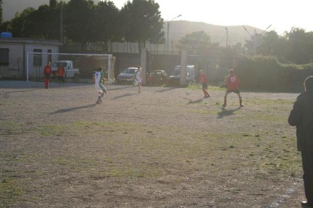 CARONIA - PARNASSIUS (223).jpg