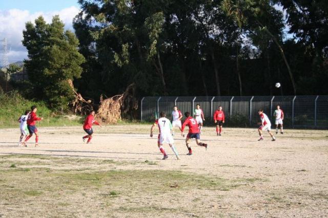 CARONIA - PARNASSIUS (225).jpg