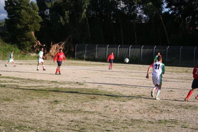 CARONIA - PARNASSIUS (227).jpg