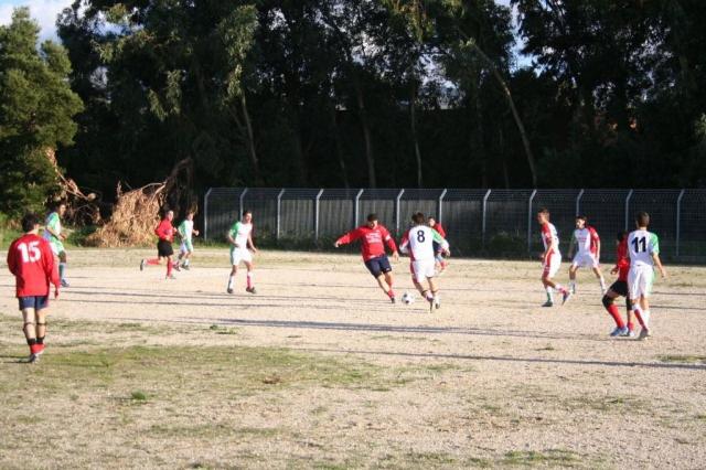 CARONIA - PARNASSIUS (228).jpg