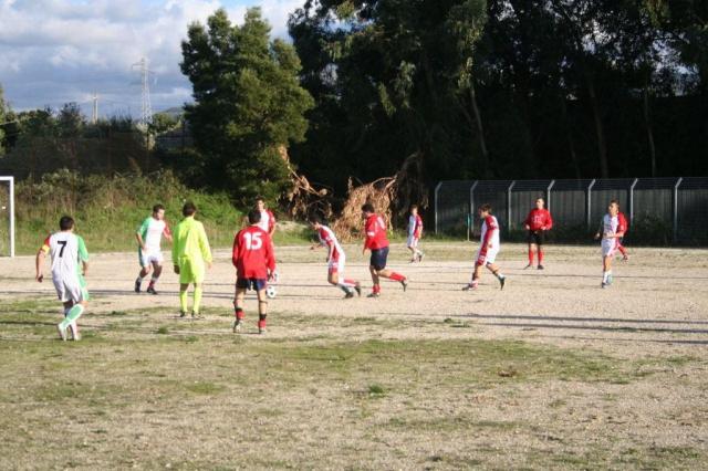 CARONIA - PARNASSIUS (229).jpg