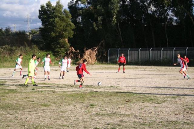 CARONIA - PARNASSIUS (230).jpg