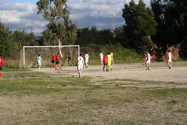 CARONIA - PARNASSIUS (231).jpg