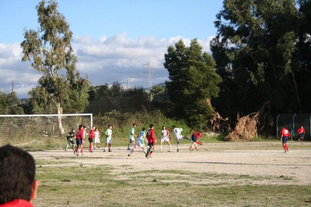 CARONIA - PARNASSIUS (232).jpg