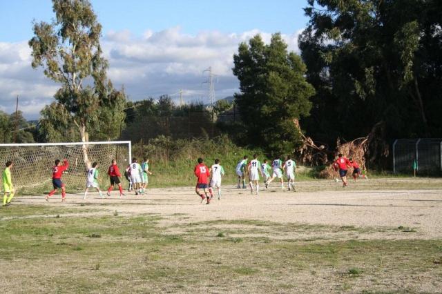 CARONIA - PARNASSIUS (233).jpg