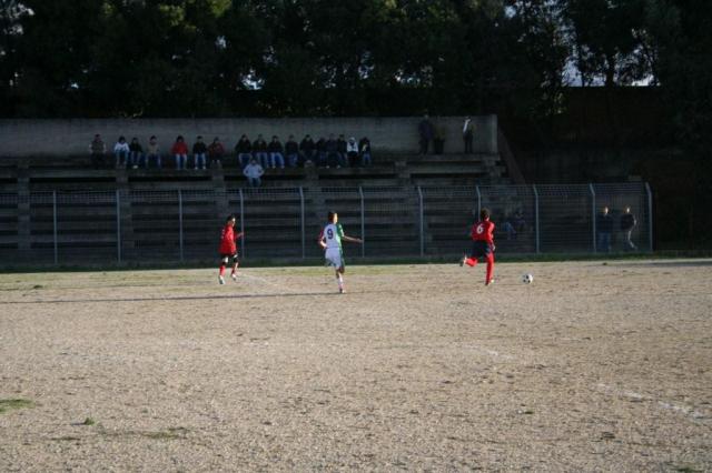 CARONIA - PARNASSIUS (234).jpg