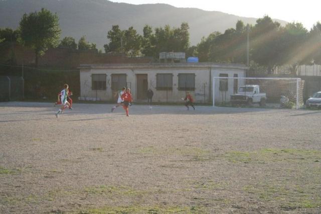 CARONIA - PARNASSIUS (236).jpg