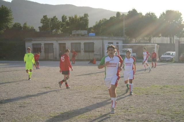 CARONIA - PARNASSIUS (241).jpg