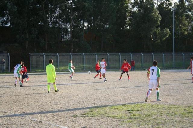 CARONIA - PARNASSIUS (244).jpg