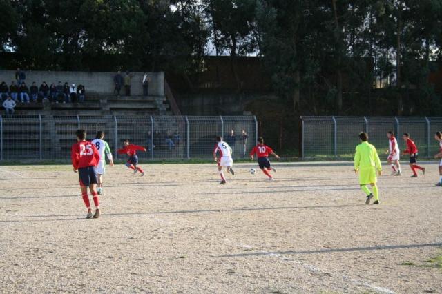 CARONIA - PARNASSIUS (245).jpg