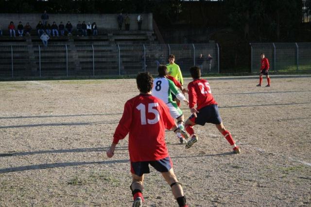 CARONIA - PARNASSIUS (248).jpg