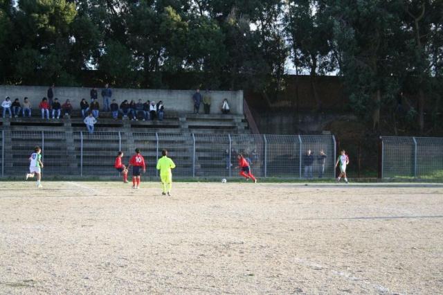 CARONIA - PARNASSIUS (253).jpg