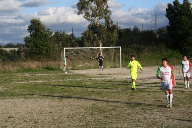 CARONIA - PARNASSIUS (258).jpg