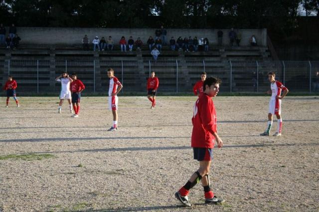 CARONIA - PARNASSIUS (261).jpg