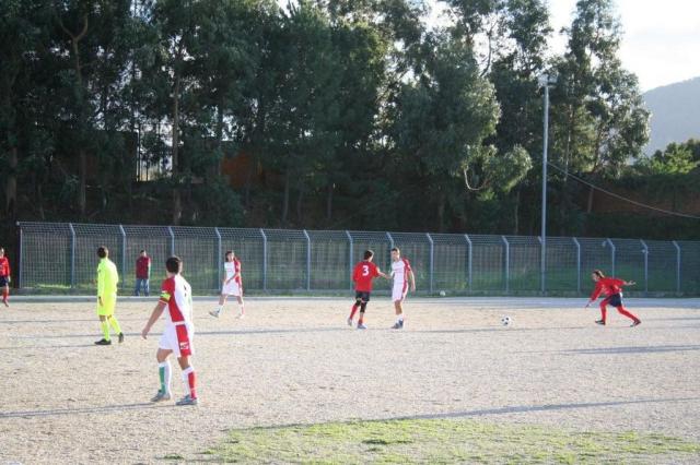 CARONIA - PARNASSIUS (263).jpg