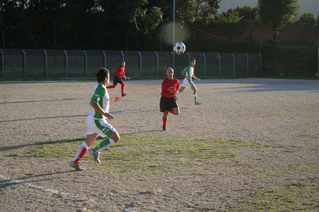 CARONIA - PARNASSIUS (264).jpg