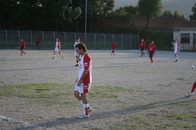 CARONIA - PARNASSIUS (267).jpg