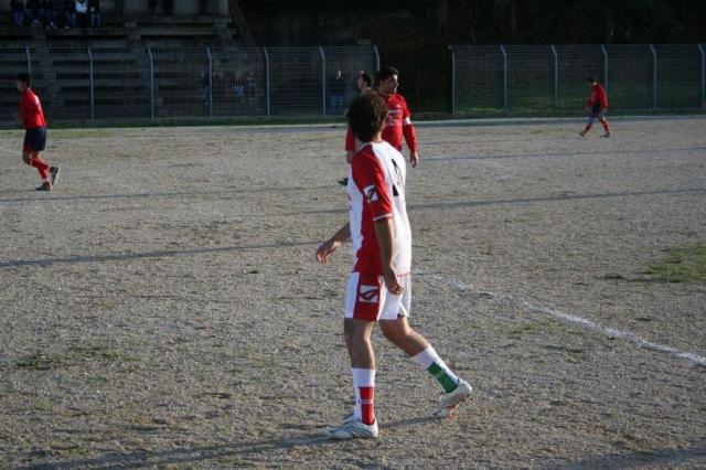 CARONIA - PARNASSIUS (268).jpg