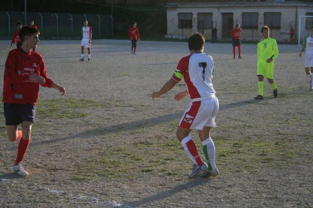 CARONIA - PARNASSIUS (269).jpg