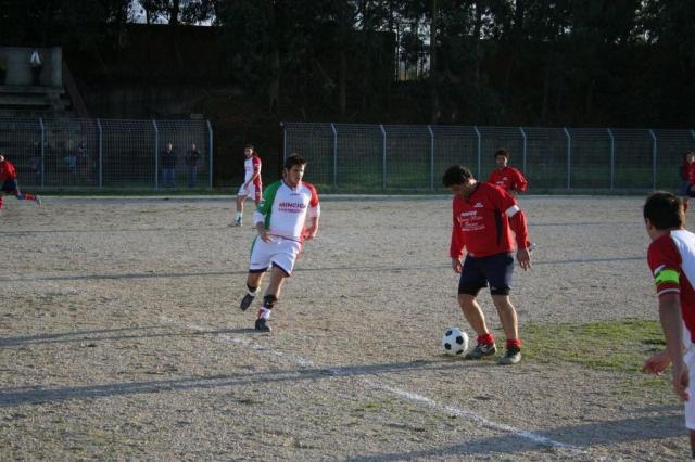 CARONIA - PARNASSIUS (270).jpg