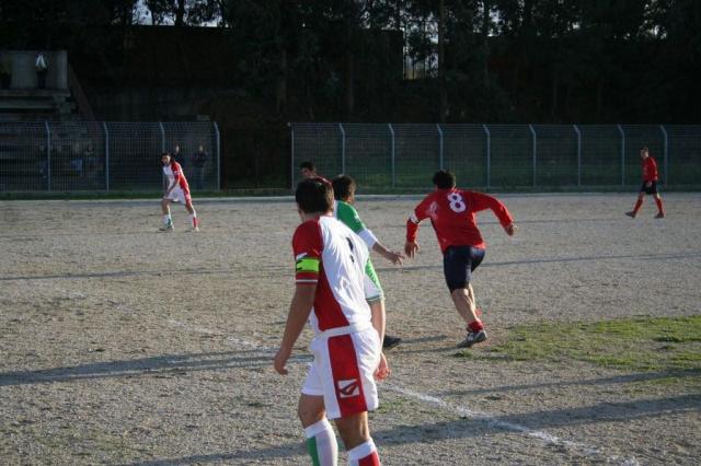 CARONIA - PARNASSIUS (271).jpg