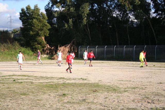 CARONIA - PARNASSIUS (274).jpg