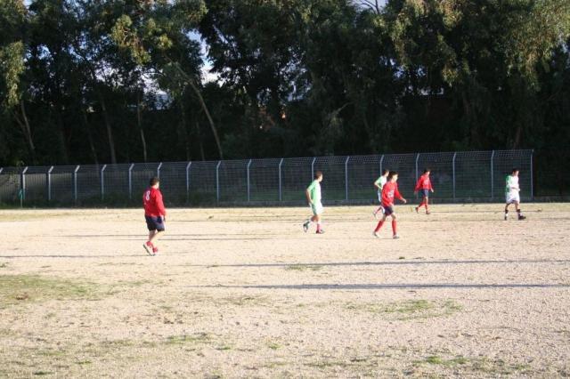 CARONIA - PARNASSIUS (278).jpg