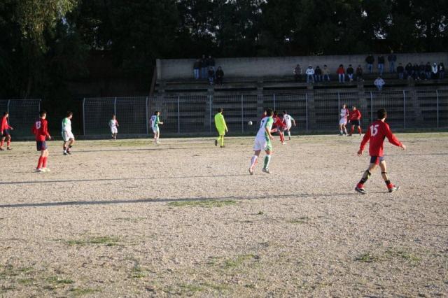 CARONIA - PARNASSIUS (280).jpg