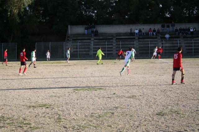 CARONIA - PARNASSIUS (281).jpg