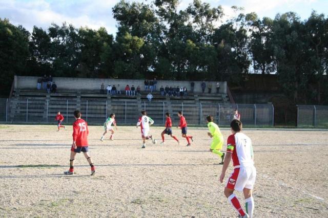 CARONIA - PARNASSIUS (285).jpg